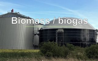 Biomass / biogas